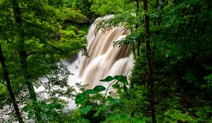 Превью обои водопад, лес, деревья, кусты, зелень