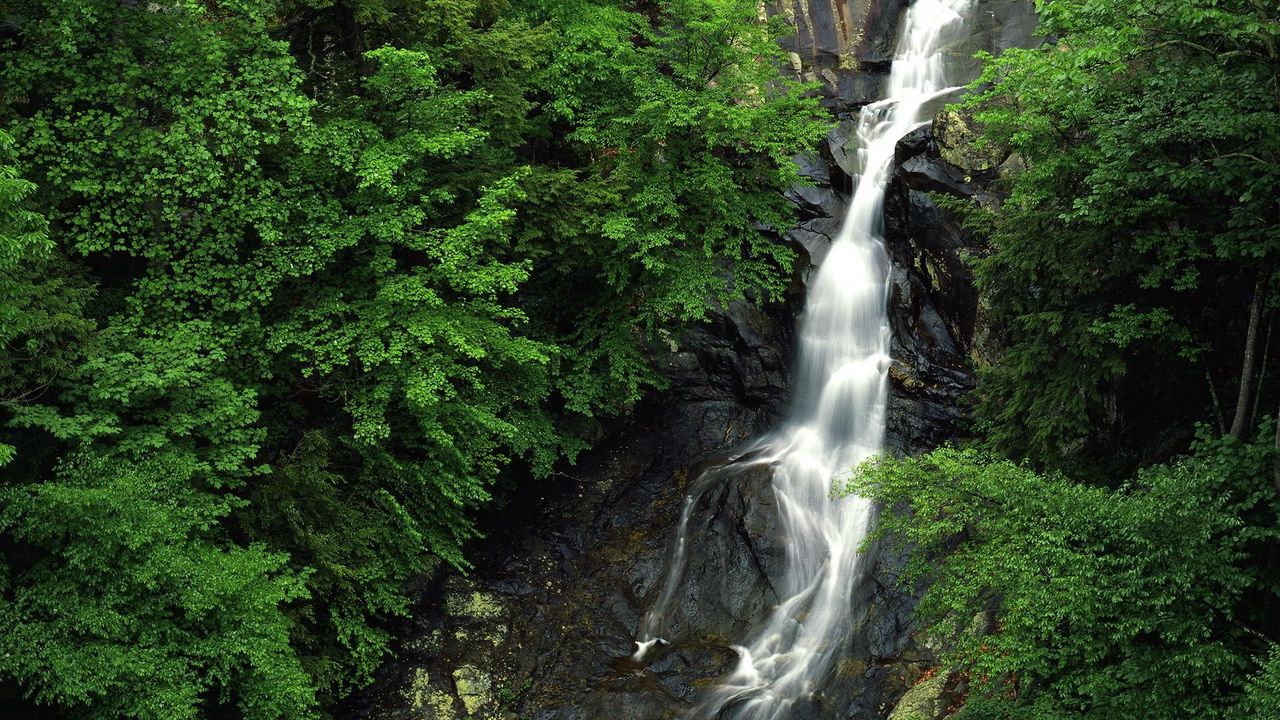 Обои водопад, лес, камни, высота, деревья, зеленый, скалы