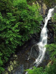 Превью обои водопад, лес, камни, высота, деревья, зеленый, скалы