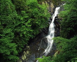 Превью обои водопад, лес, камни, высота, деревья, зеленый, скалы