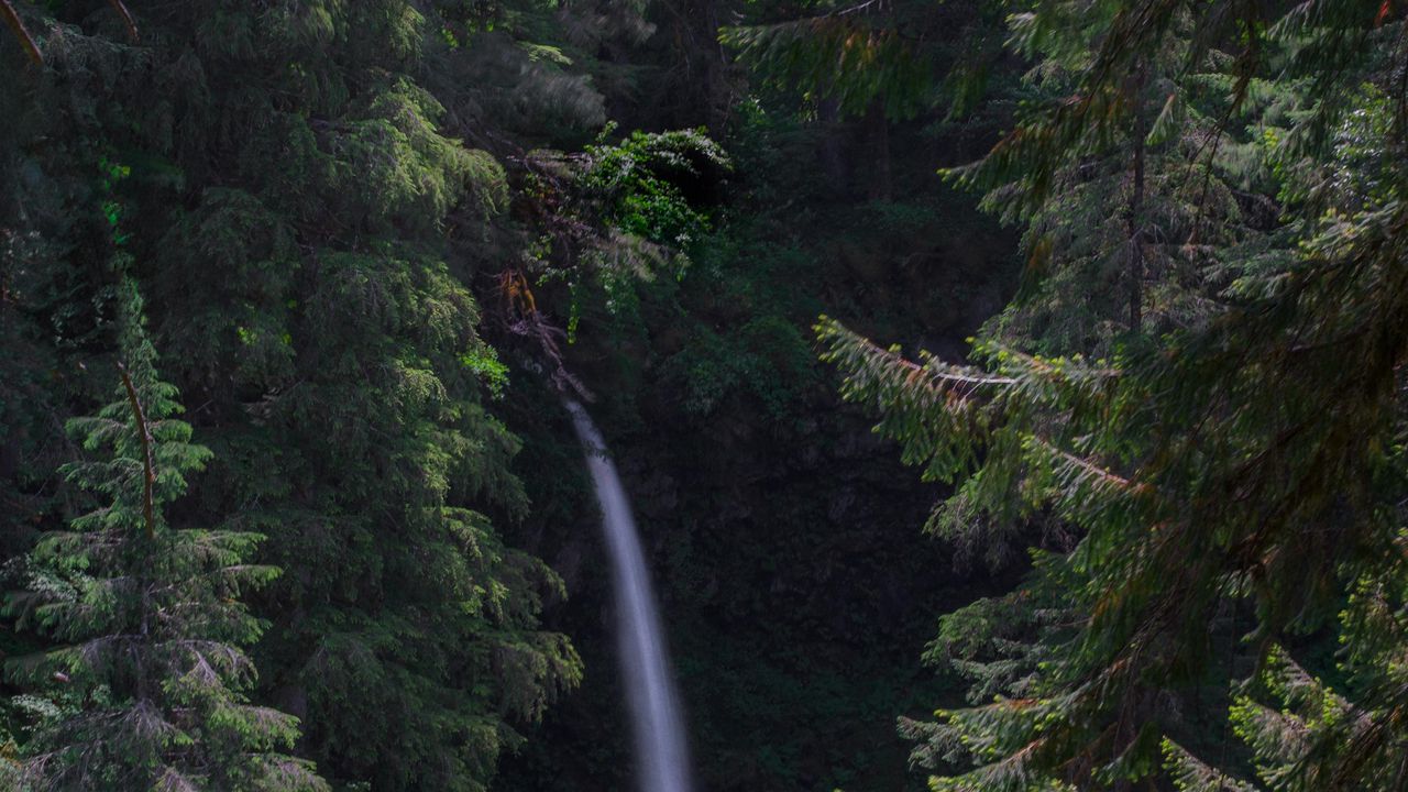 Обои водопад, лес, пейзаж, природа, деревья