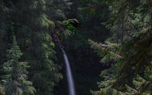 Превью обои водопад, лес, пейзаж, природа, деревья