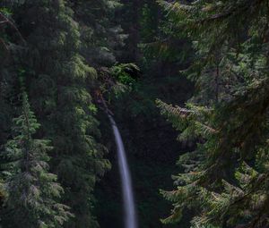Превью обои водопад, лес, пейзаж, природа, деревья