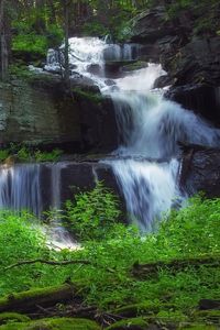 Превью обои водопад, лес, растительность, природа