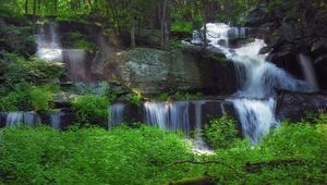 Превью обои водопад, лес, растительность, природа