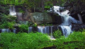 Превью обои водопад, лес, растительность, природа