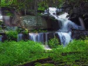 Превью обои водопад, лес, растительность, природа