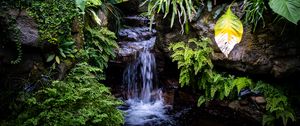 Превью обои водопад, листья, деревья, кусты, зелень, природа