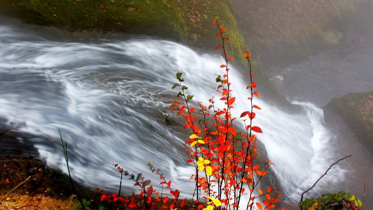 Обои водопад, листья, осень, течение