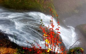 Превью обои водопад, листья, осень, течение