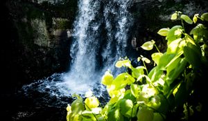 Превью обои водопад, листья, растения, скалы