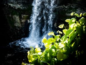 Превью обои водопад, листья, растения, скалы