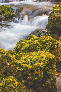 Превью обои водопад, мох, камни, течение