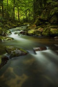 Превью обои водопад, мох, камни, скалы, мрачно