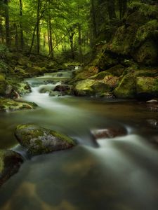 Превью обои водопад, мох, камни, скалы, мрачно