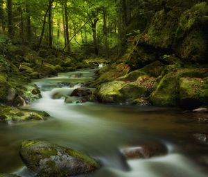 Превью обои водопад, мох, камни, скалы, мрачно