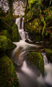 Превью обои водопад, мох, камни, пейзаж, деревья