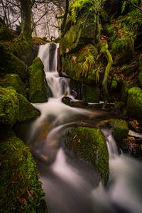 Превью обои водопад, мох, камни, пейзаж, деревья