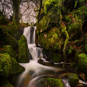 Превью обои водопад, мох, камни, пейзаж, деревья