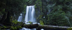 Превью обои водопад, мох, лес, деревья