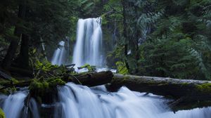 Превью обои водопад, мох, лес, деревья