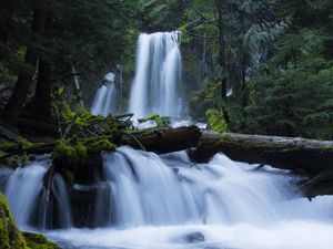 Превью обои водопад, мох, лес, деревья