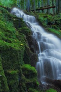 Превью обои водопад, мох, пейзаж, природа