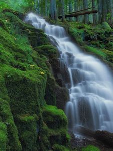 Превью обои водопад, мох, пейзаж, природа