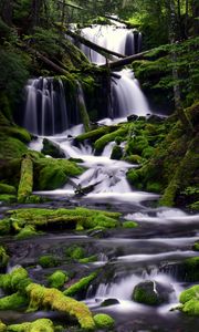 Превью обои водопад, мох, вода, поток, деревья