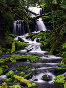 Превью обои водопад, мох, вода, поток, деревья