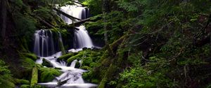 Превью обои водопад, мох, вода, поток, деревья