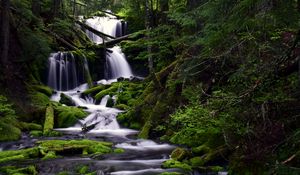 Превью обои водопад, мох, вода, поток, деревья