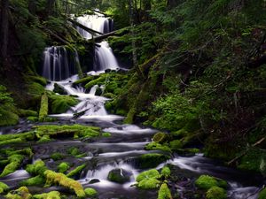 Превью обои водопад, мох, вода, поток, деревья