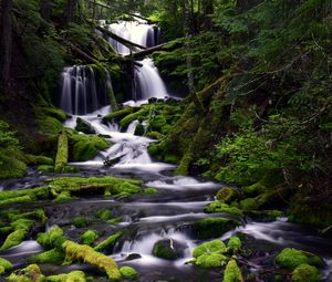 Превью обои водопад, мох, вода, поток, деревья