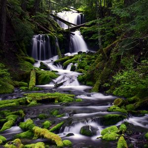 Превью обои водопад, мох, вода, поток, деревья