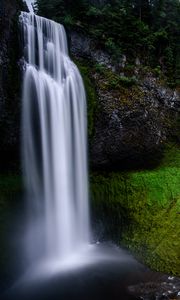 Превью обои водопад, мох, возвышенность, деревья