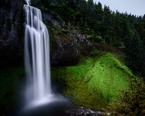 Превью обои водопад, мох, возвышенность, деревья