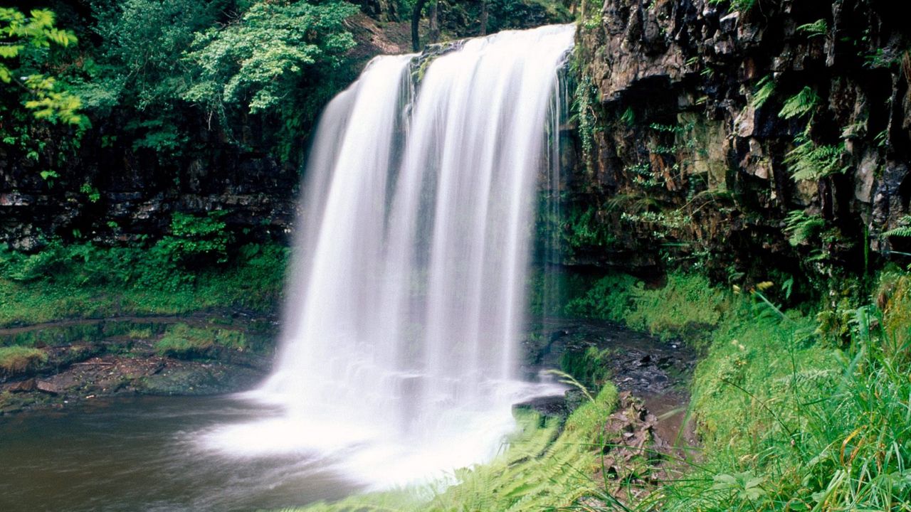 Обои водопад, национальный парк, скалы, папоротник, растительность, южный уэльс