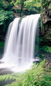 Превью обои водопад, национальный парк, скалы, папоротник, растительность, южный уэльс