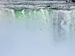 Превью обои водопад, ниагара, туман, птица, природа