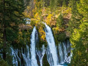 Превью обои водопад, обрыв, деревья, ветки