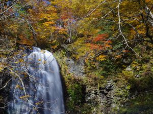 Превью обои водопад, обрыв, деревья, камни, вода