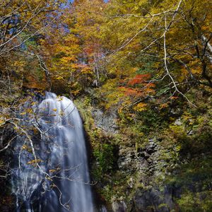 Превью обои водопад, обрыв, деревья, камни, вода
