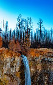 Превью обои водопад, обрыв, деревья, лес, пейзаж