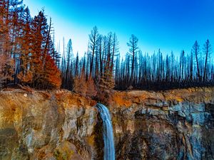 Превью обои водопад, обрыв, деревья, лес, пейзаж