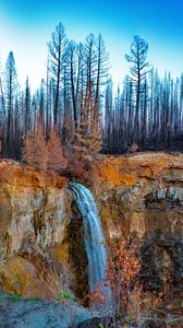 Превью обои водопад, обрыв, деревья, пейзаж, осень