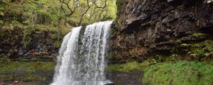 Превью обои водопад, обрыв, деревья, природа