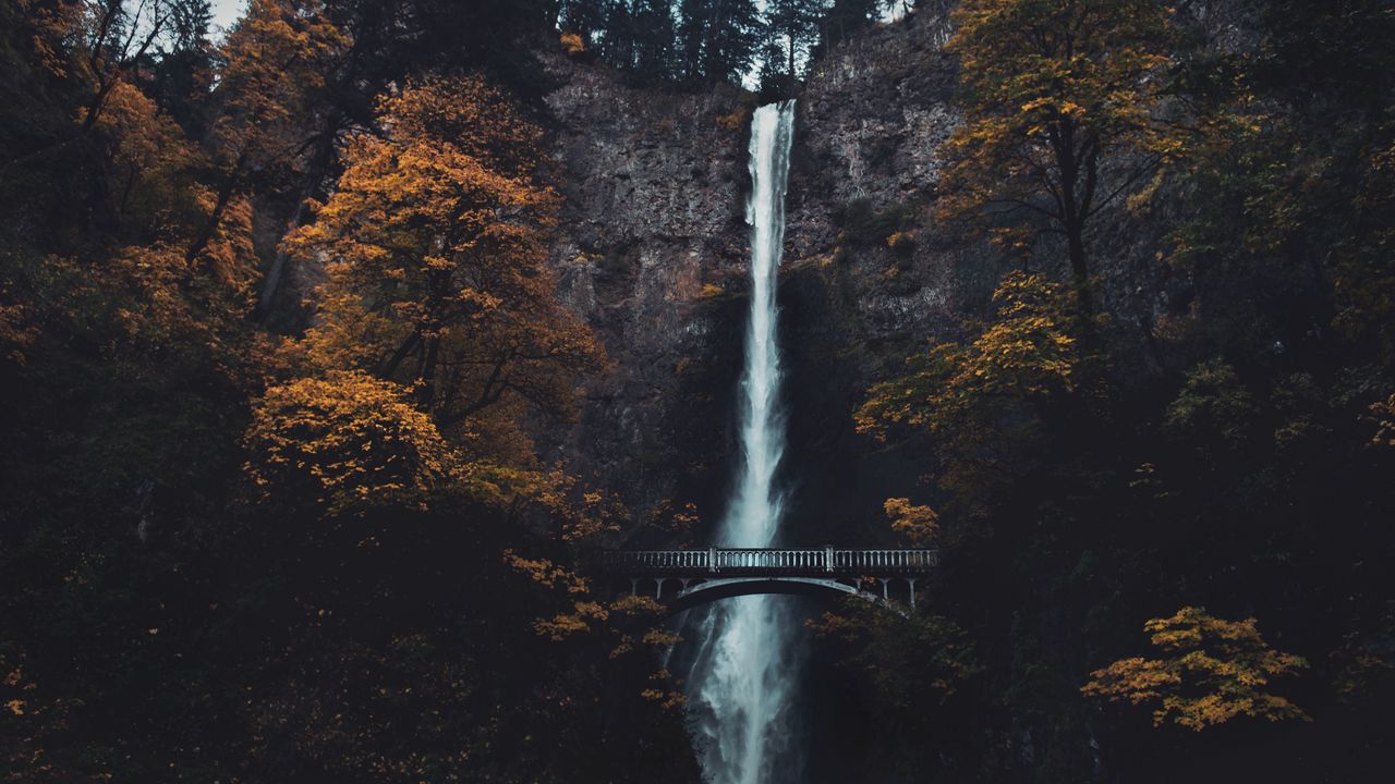 Обои водопад, обрыв, мост, деревья, вода