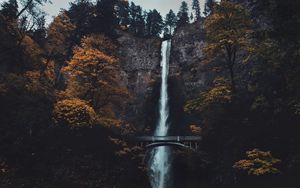 Превью обои водопад, обрыв, мост, деревья, вода