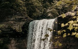 Превью обои водопад, обрыв, течение, лес, природа